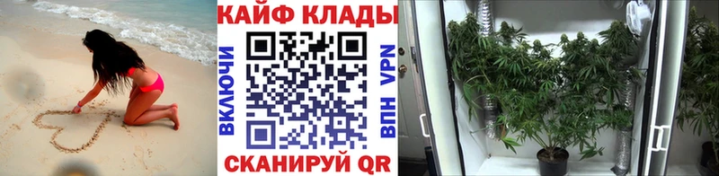 Наркошоп Ядрин АМФЕТАМИН blacksprut вход МЕФ Марихуана А ПВП Псилоцибиновые грибы