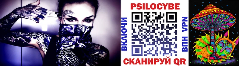 гидра сайт  Ядрин  Галлюциногенные грибы Psilocybe 