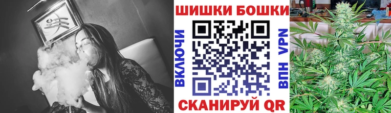 кракен tor  Ядрин  Бошки марихуана марихуана 